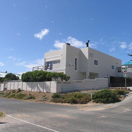The Whale Cove Lejlighed Gansbaai Eksteriør billede